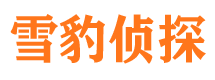 东海岛市私家侦探